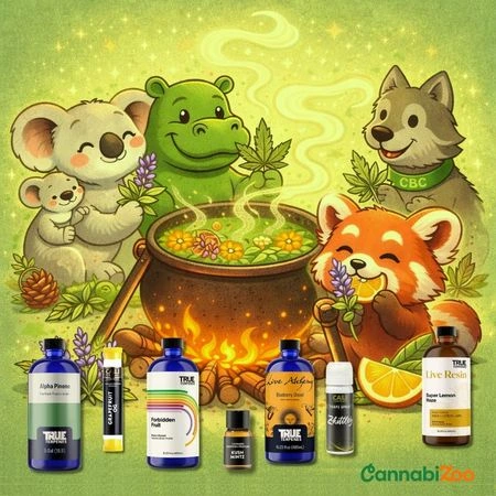 Crtić životinja oko kotla i razni proizvodi oko njega, logo CannabiZoo u donjem desnom kutu